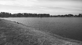 Oświęcim, Kruki